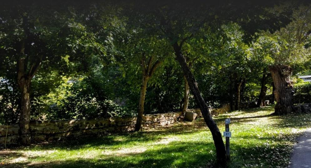 Camping L'Enclave Mobil-Home Estavar Εξωτερικό φωτογραφία