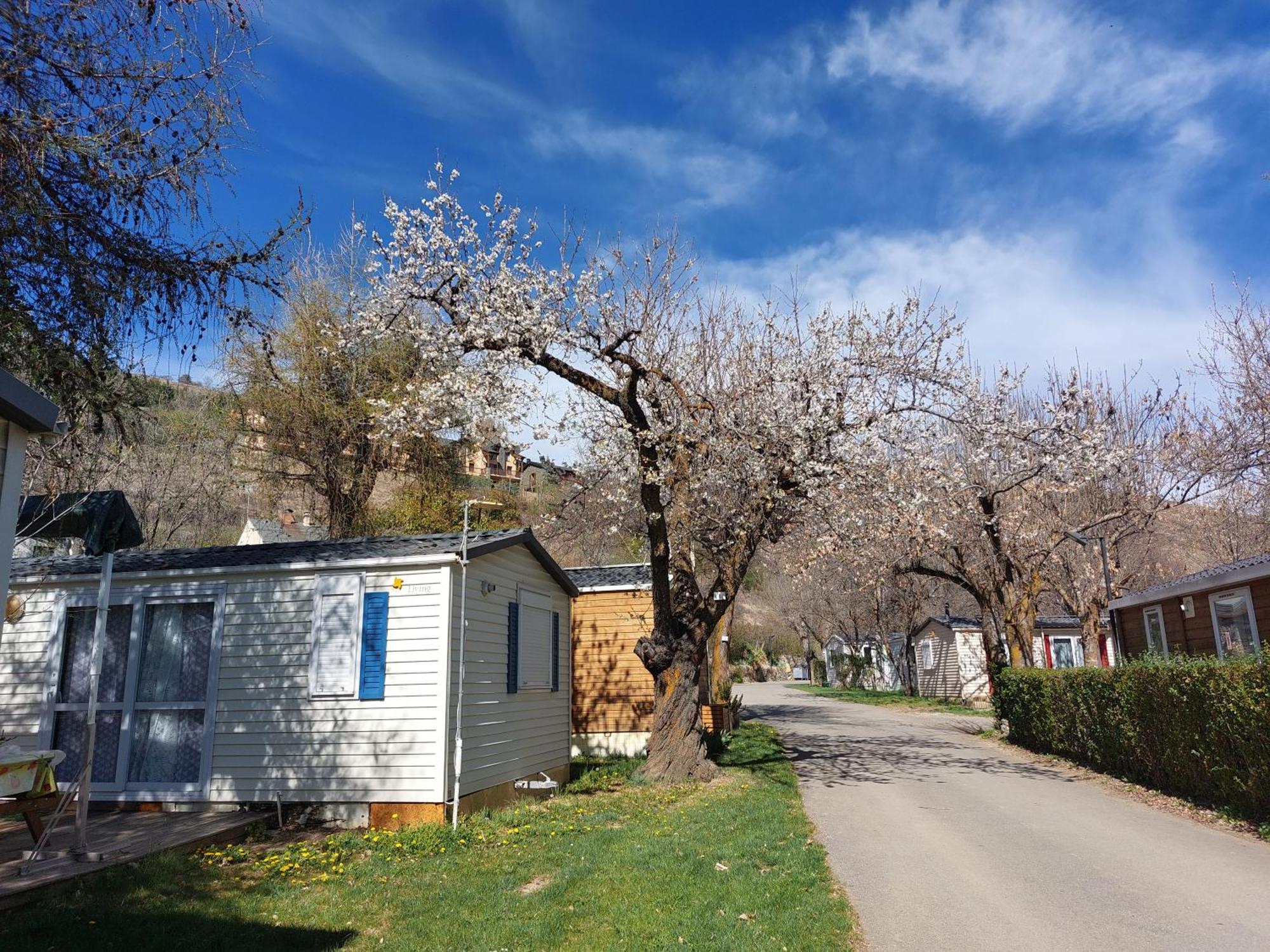 Camping L'Enclave Mobil-Home Estavar Εξωτερικό φωτογραφία